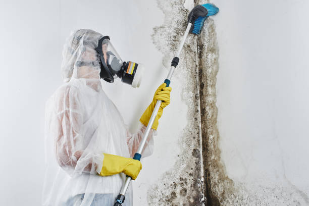 Best Mold Testing  in Woodville, TX