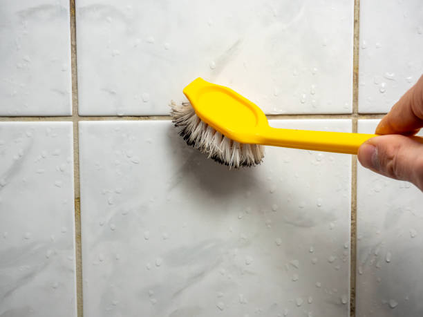 Best Mold Inspection  in Woodville, TX