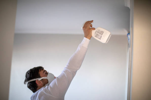 Best Residential Mold Removal  in Woodville, TX