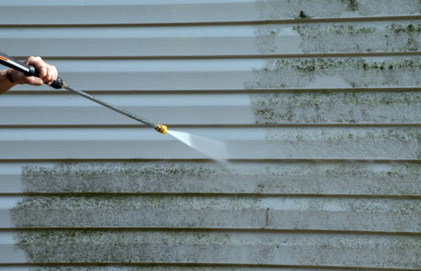 Certified Mold Removal in Woodville, TX