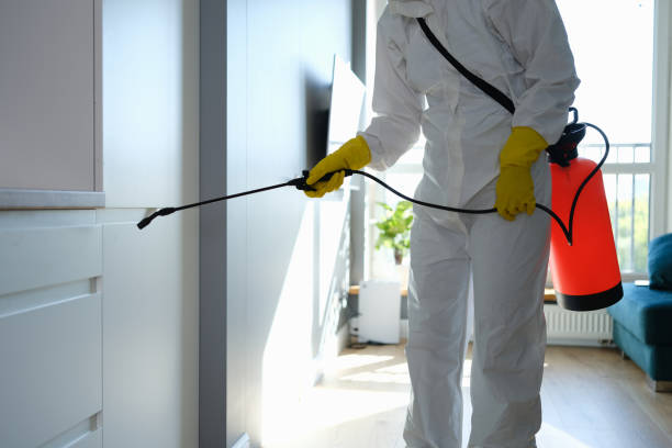 Best Professional Mold Removal  in Woodville, TX
