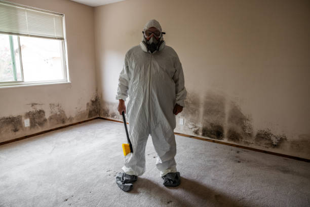 Best Office Mold Removal Services  in Woodville, TX