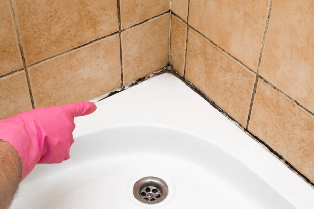 Best Toxic Mold Removal  in Woodville, TX